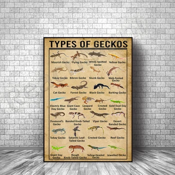 Veida Gecko Bezrāmju Plakāti, Gecko Zināšanas, Gecko Izdrukas, Mīlu Dzīvniekus Plakāti